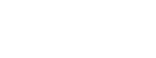 T2